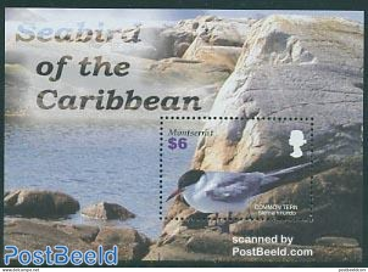 Montserrat 2005 Common Tern S/s, Mint NH, Nature - Birds - Other & Unclassified