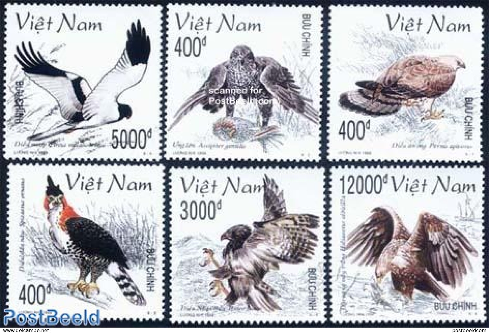 Vietnam 1998 Birds Of Prey 6v, Mint NH, Nature - Birds - Birds Of Prey - Other & Unclassified
