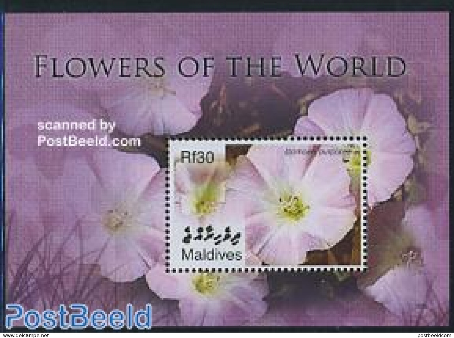 Maldives 2006 Flowers Of The World S/s, Mint NH, Nature - Flowers & Plants - Maldive (1965-...)