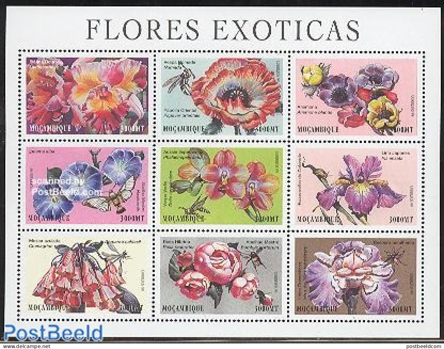 Mozambique 1999 Flowers 9v M/s (Laetiocottleya A.o.), Mint NH, Nature - Flowers & Plants - Insects - Mozambico
