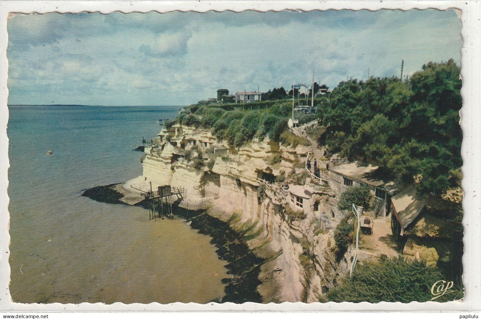 90 DEPT 17 : édit. Cap N° 2288 : Meschers Les Falaises - Meschers