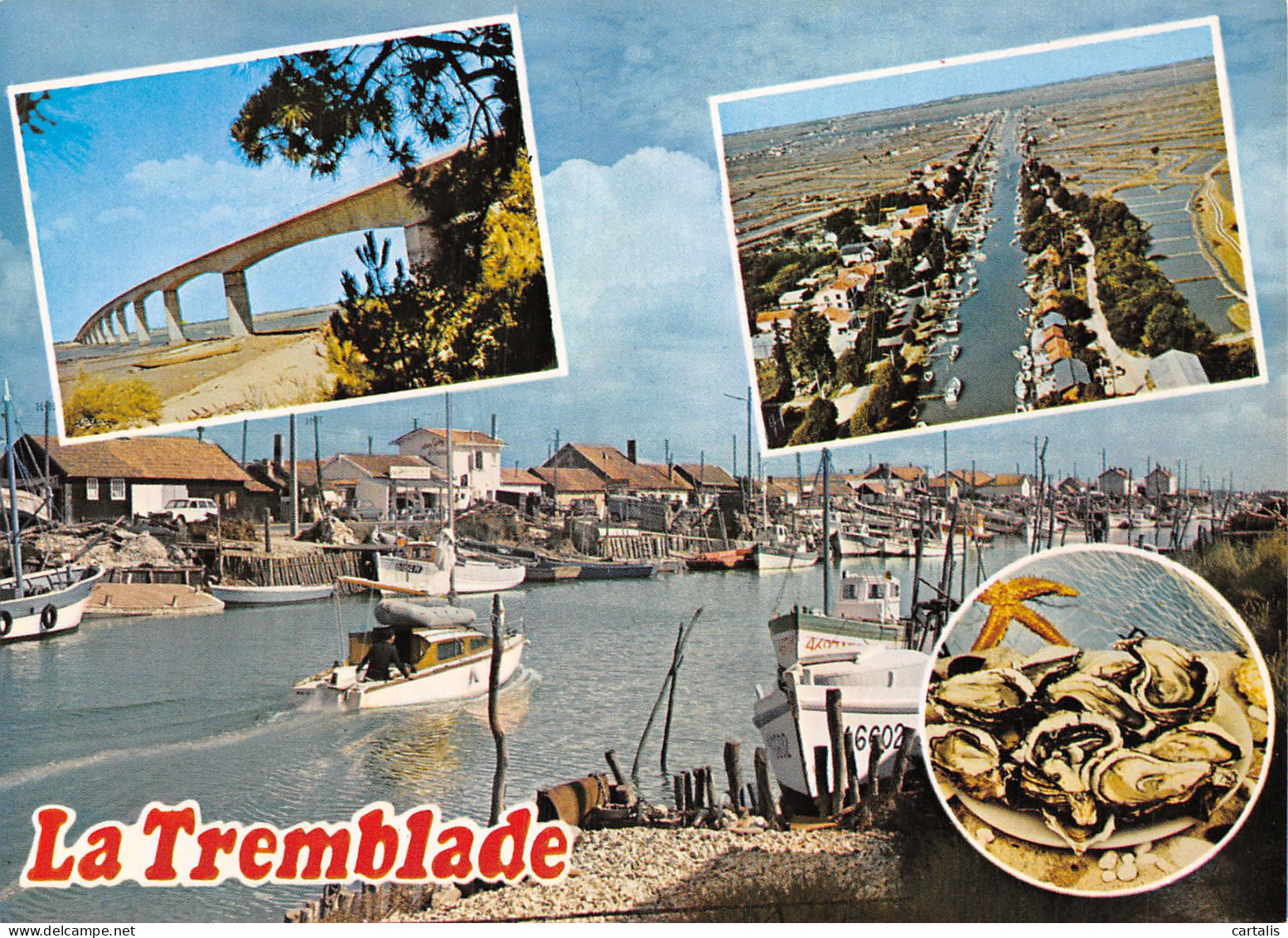 17-LA TREMBLADE-N°4150-C/0255 - La Tremblade