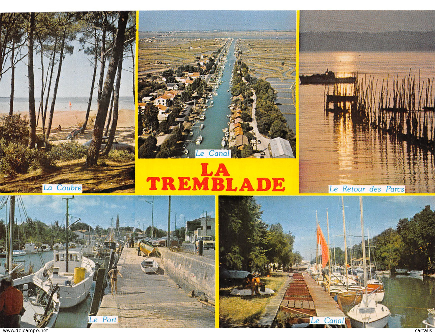 17-LA TREMBLADE-N°4150-C/0251 - La Tremblade
