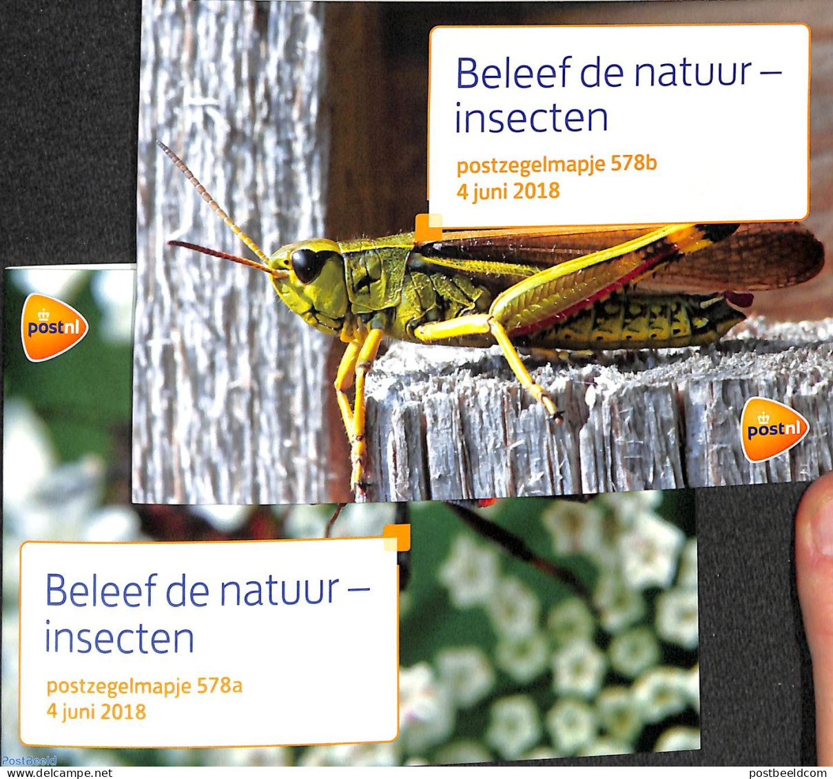 Netherlands 2018 Insects, Presentation Pack 578a+b, Mint NH, Nature - Insects - Ungebraucht
