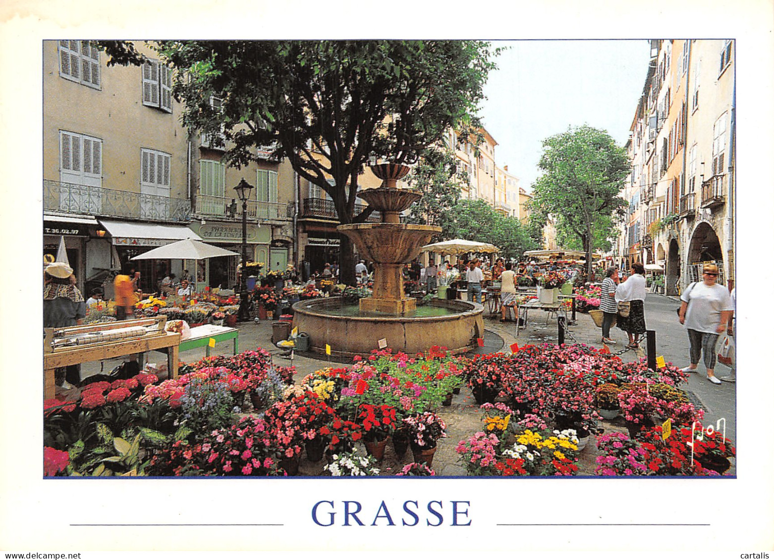 06-GRASSE-N°4150-D/0347 - Grasse