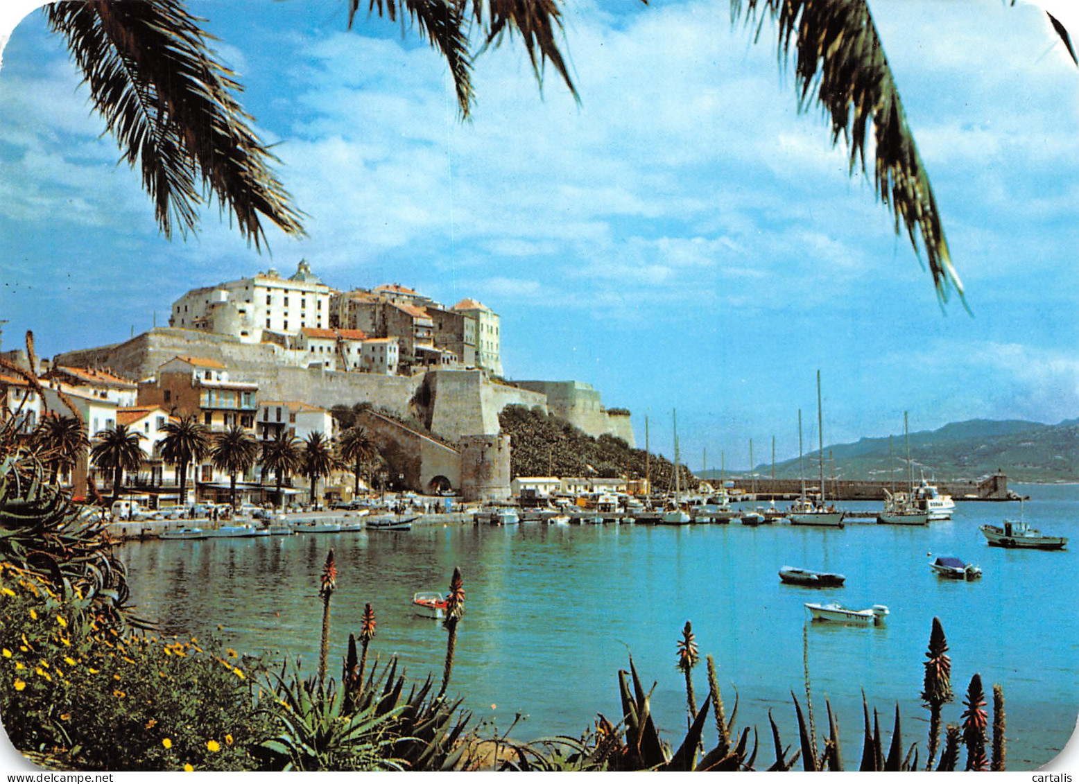 20-CALVI-N°4151-A/0141 - Calvi