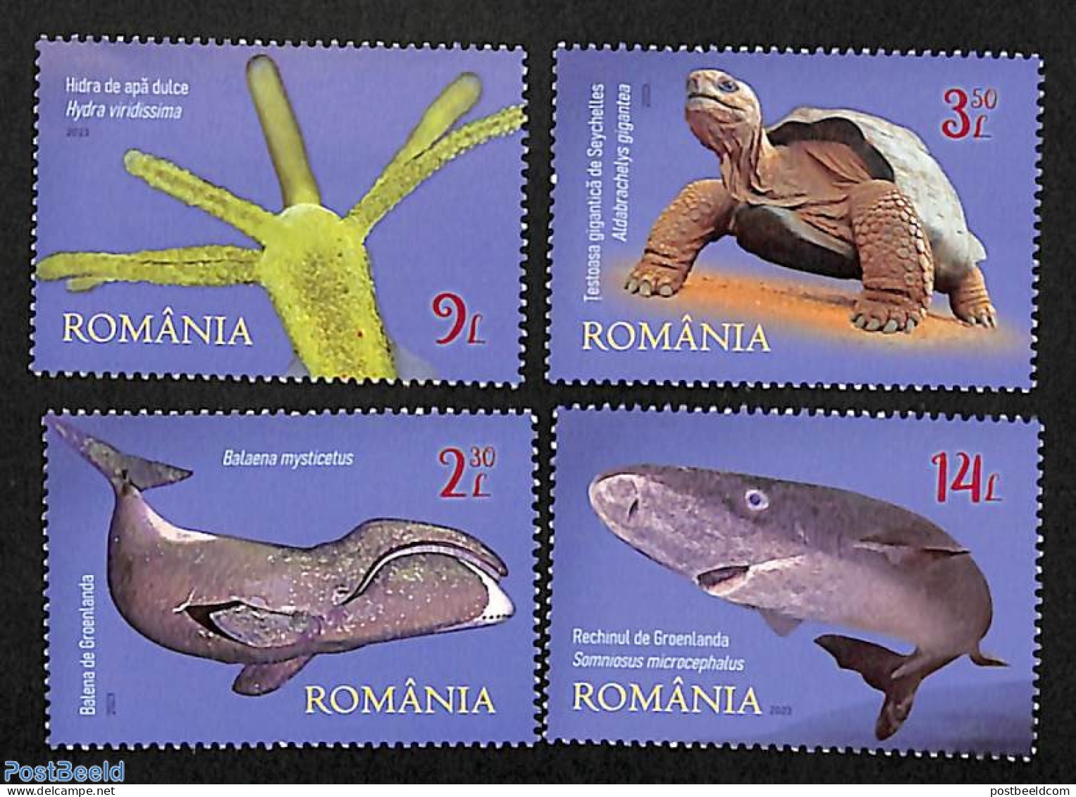 Romania 2023 Champions Of A Long Life 4v, Mint NH, Nature - Animals (others & Mixed) - Fish - Reptiles - Sea Mammals -.. - Nuovi