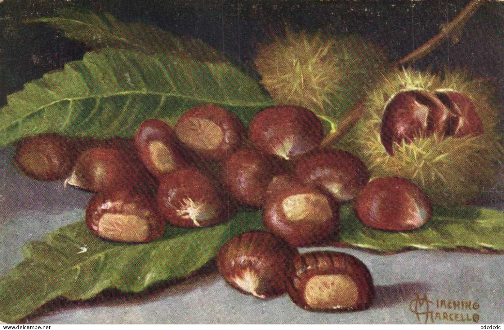 Illustrateur M Giachino Chataignes Castagne RV - Bäume