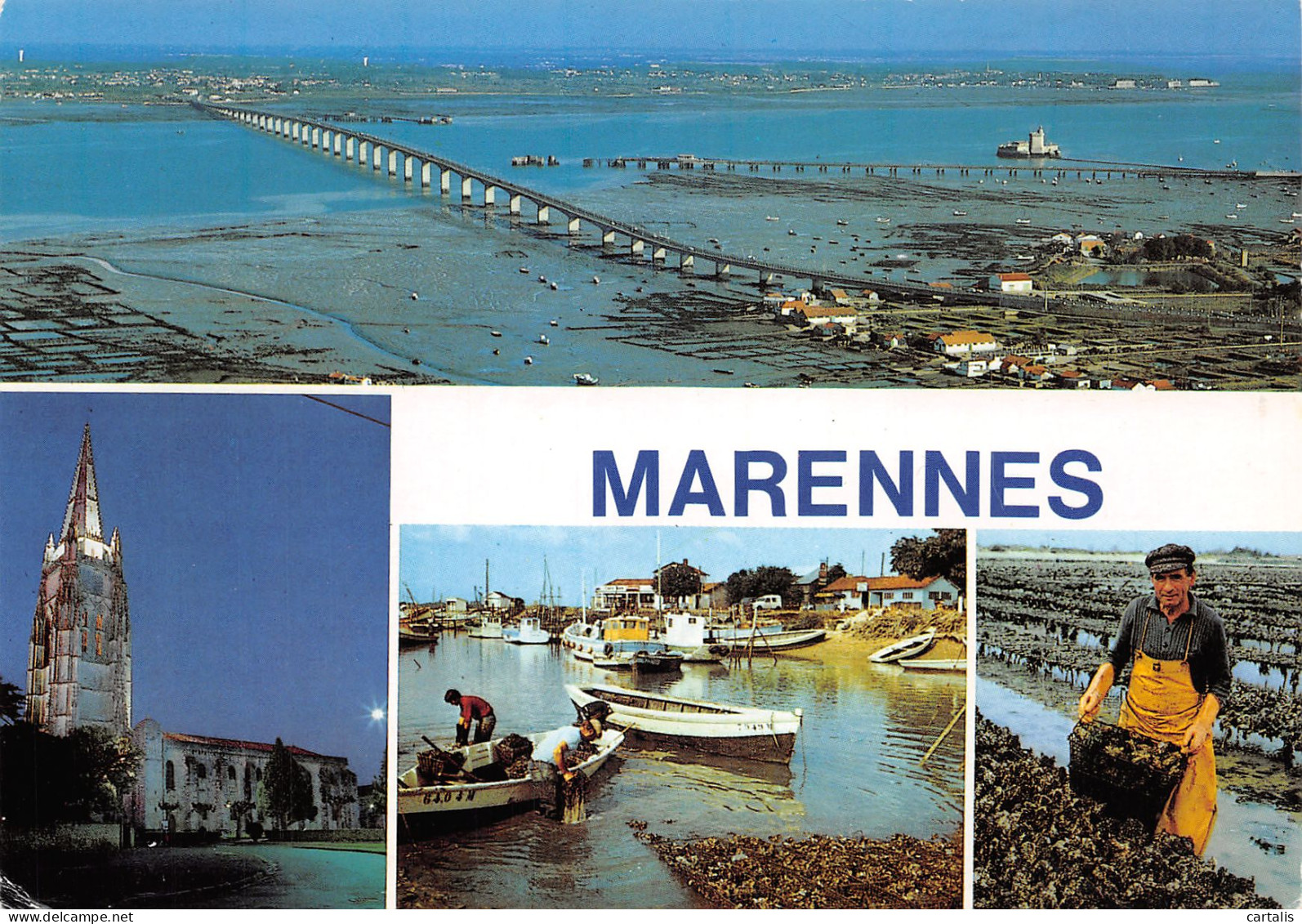 17-MARENNES-N°4153-A/0311 - Marennes