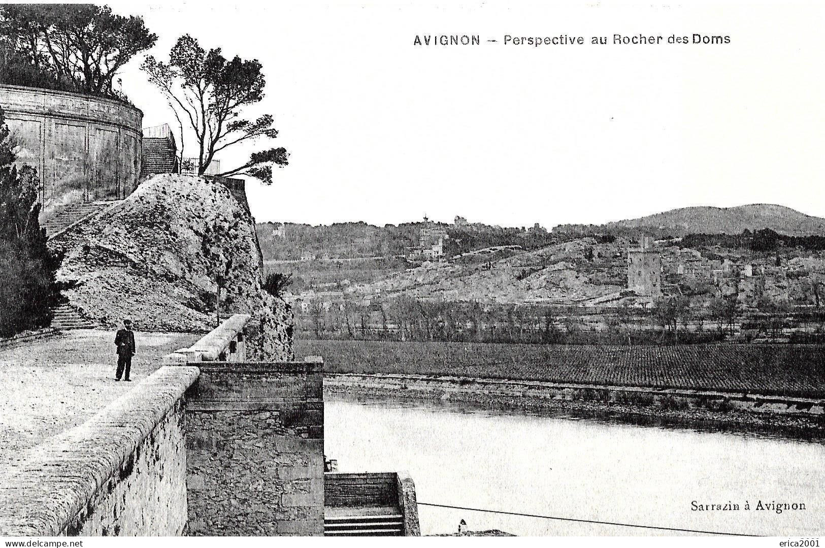 Avignon. Perspective Au Rocher Des Doms. - Avignon