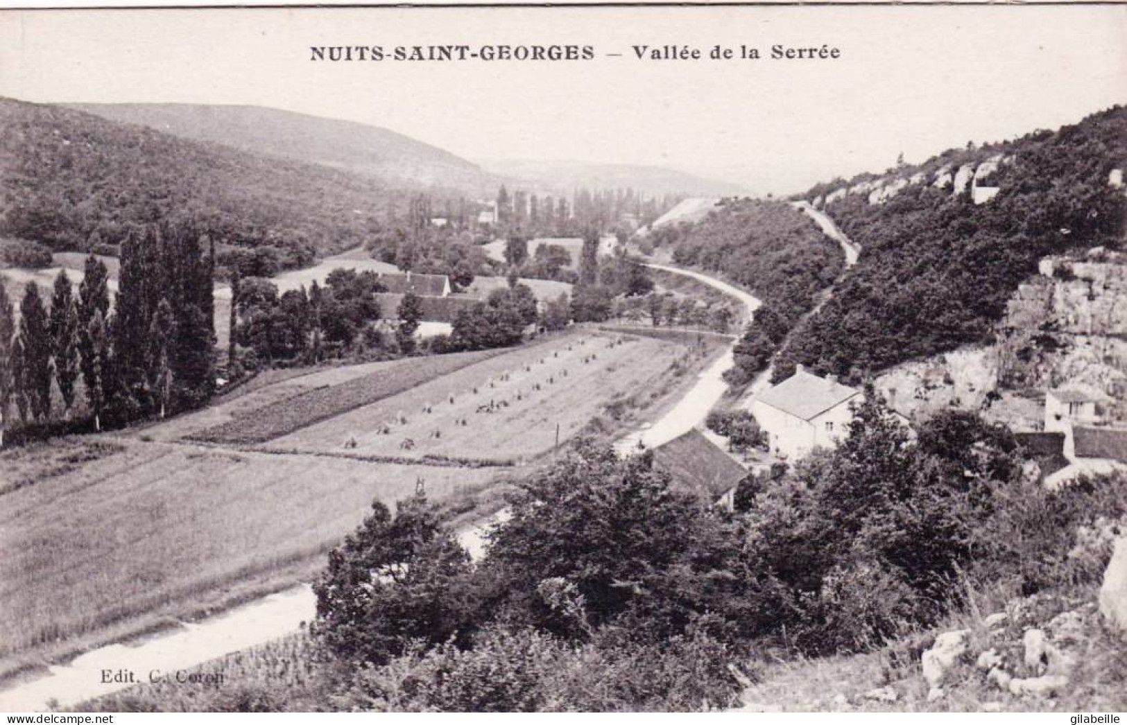 21 - Cote D Or  - NUITS SAINT GEORGES - Vallée De La Serrée - Nuits Saint Georges