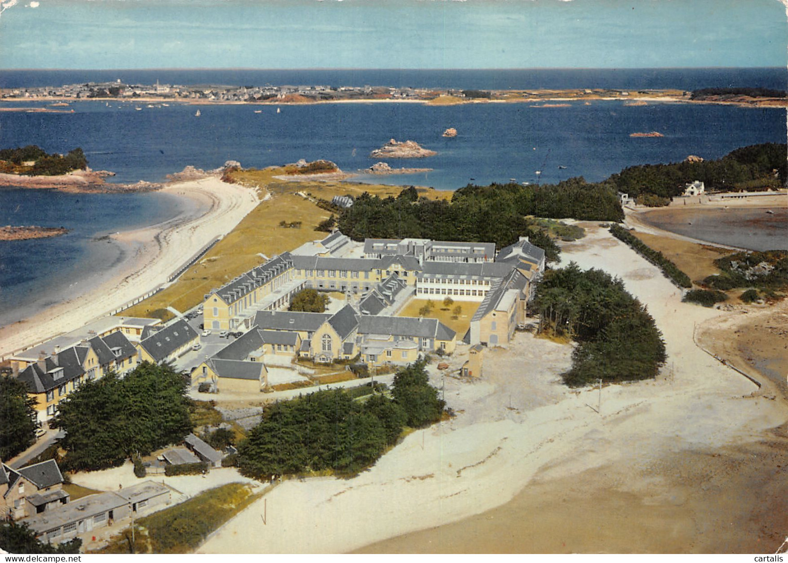 29-ROSCOFF-N°4155-A/0343 - Roscoff