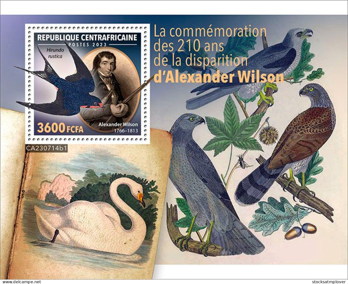 Central Africa 2023 Birds 210th Memorial Anniversary Of Alexander Wilson S202403 - Central African Republic