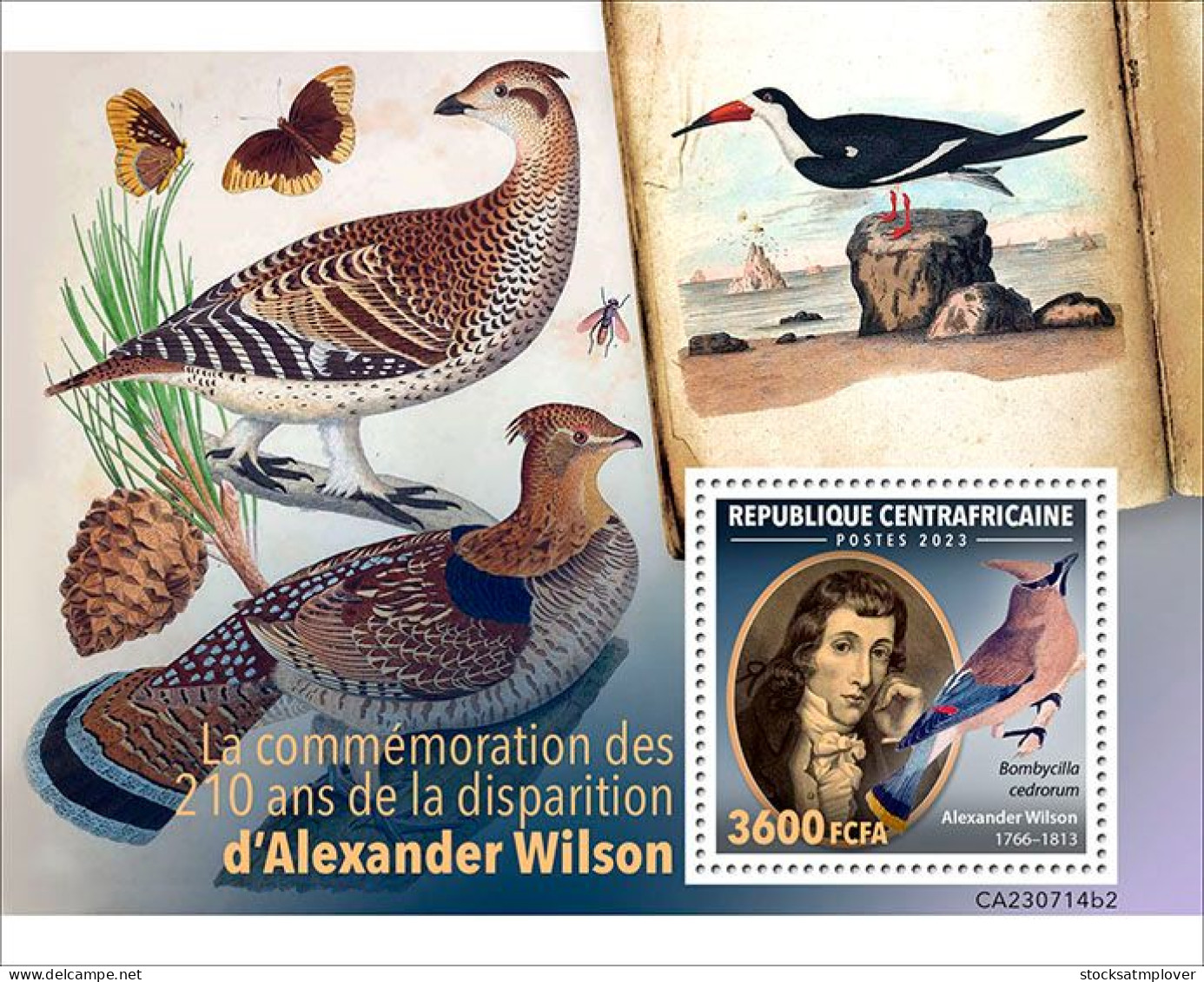 Central Africa 2023 Birds 210th Memorial Anniversary Of Alexander Wilson S202403 - Zentralafrik. Republik