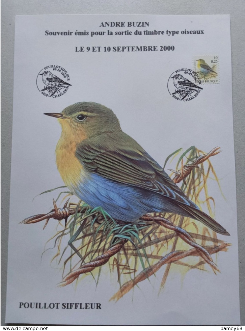 Souvenir Prive Oiseaux André Buzin Le Pouillot Siffleur 09-09-2000 - 1985-.. Vogels (Buzin)