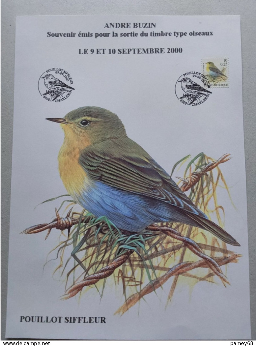 Souvenir Prive Oiseaux André Buzin Le Pouillot Siffleur 09-09-2000 - 1985-.. Pájaros (Buzin)