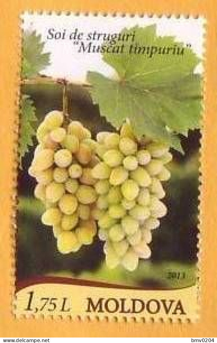 2013  Moldova  Moldau Muscat Early Grapes, Wine, Nature   1v  Mint - Moldawien (Moldau)