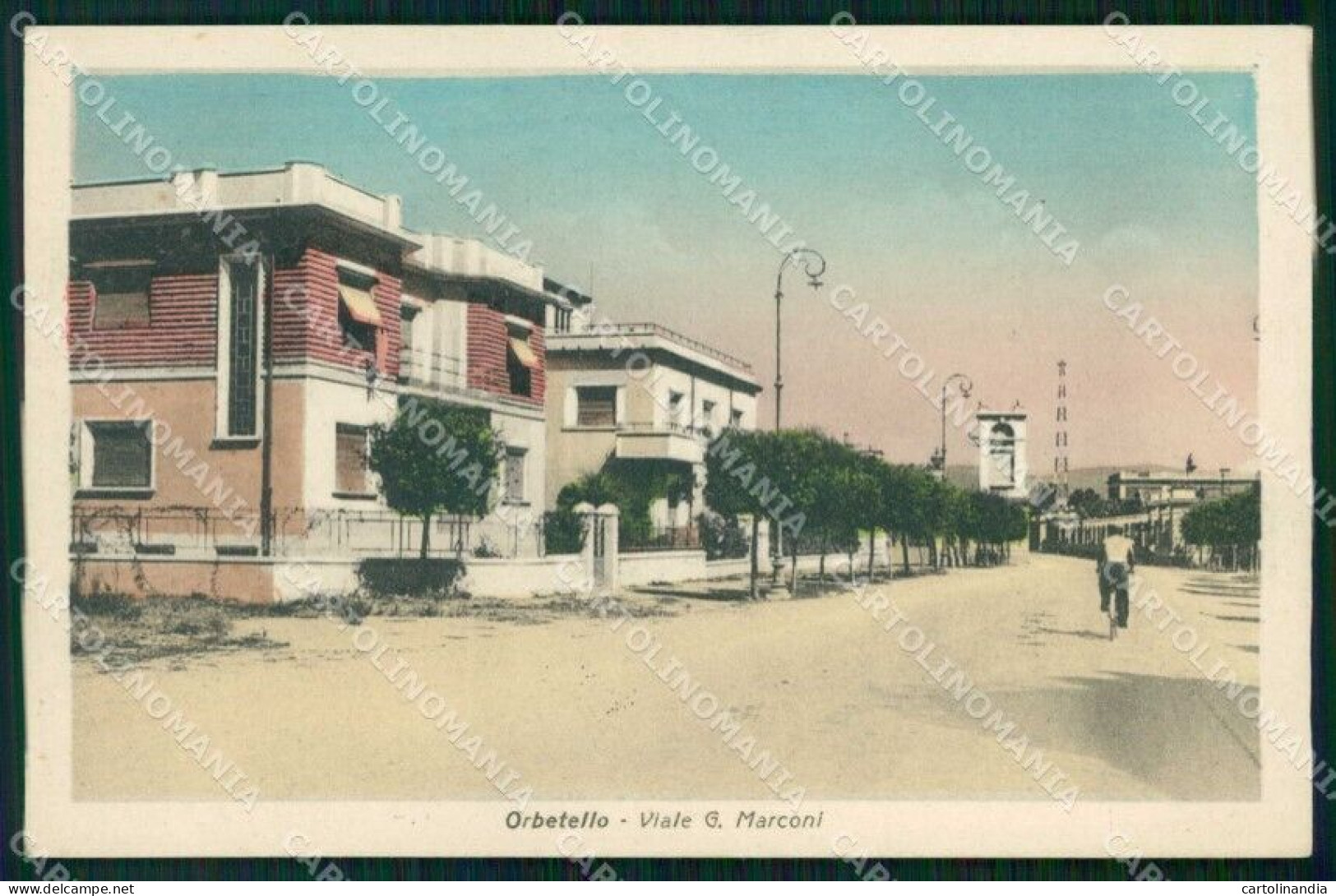 Grosseto Orbetello Viale Marconi Cartolina RB9588 - Grosseto