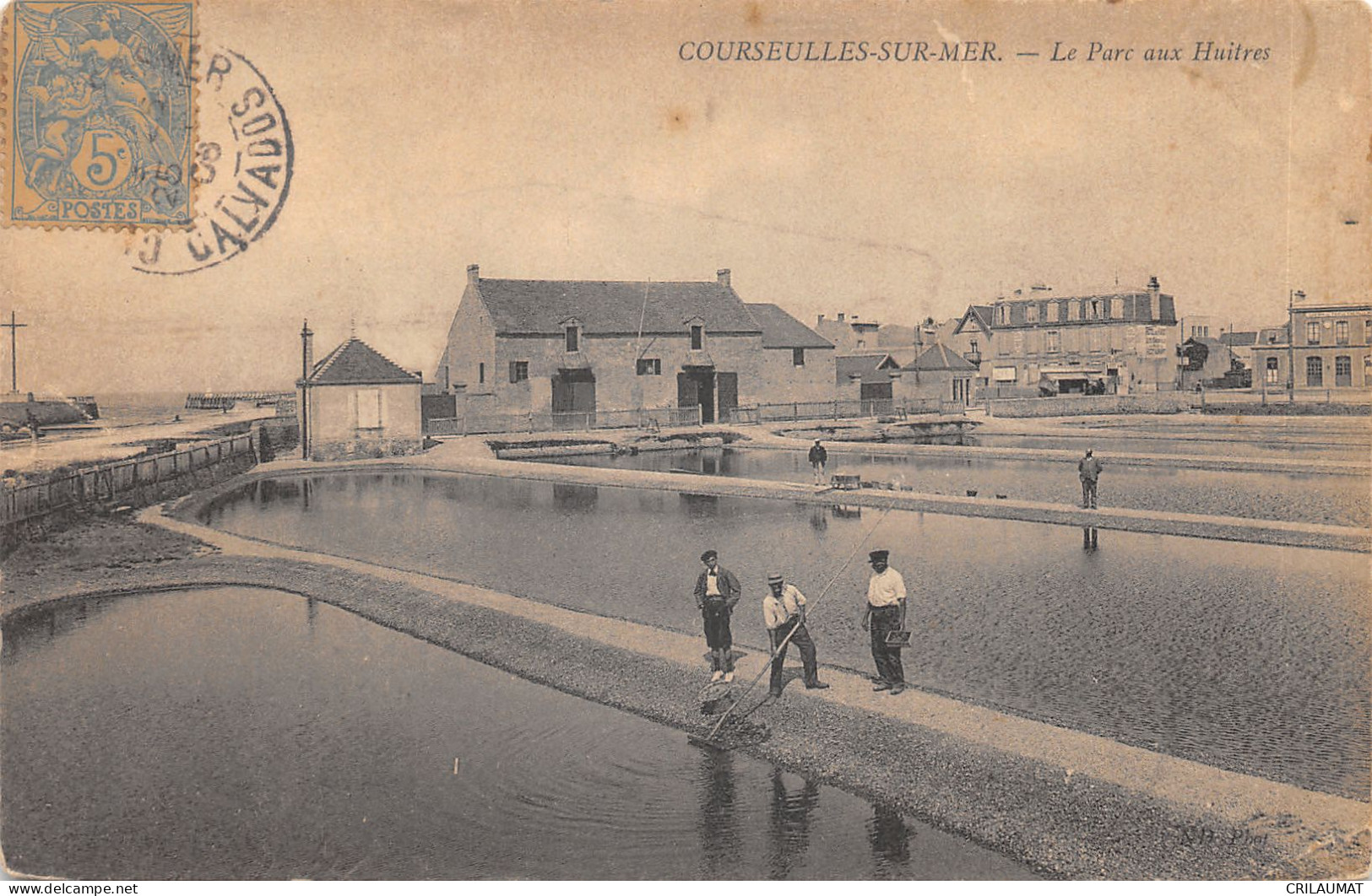 14-COURSEULLES SUR MER-LE PARC AUX HUITRES-N T6018-F/0345 - Courseulles-sur-Mer