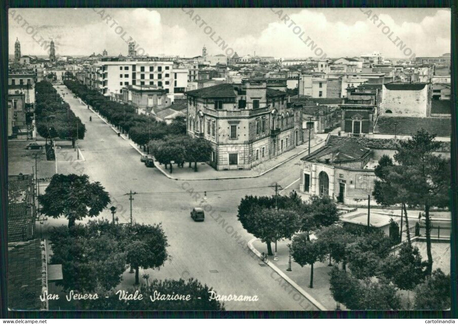 Foggia San Severo Foto FG Cartolina ZK1877 - Foggia