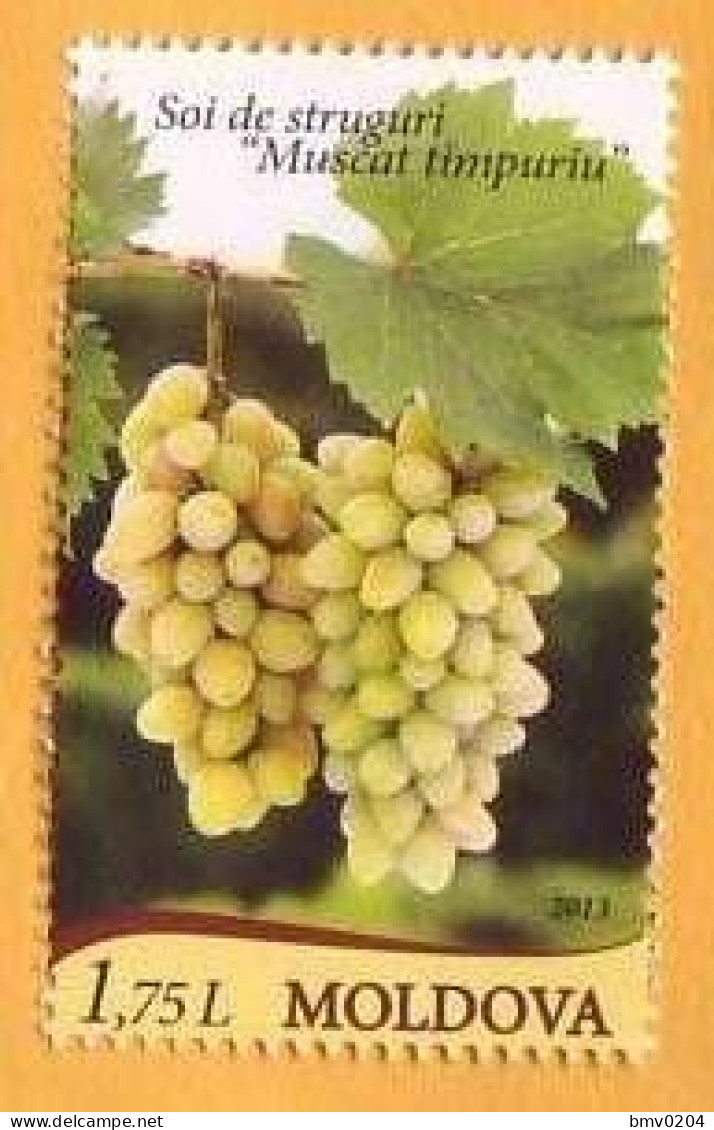 2013  Moldova  Moldau Muscat Early Grapes, Wine, Nature   1v  Mint - Obst & Früchte