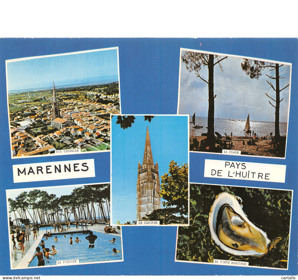 17-MARENNES-N°4157-D/0001 - Marennes