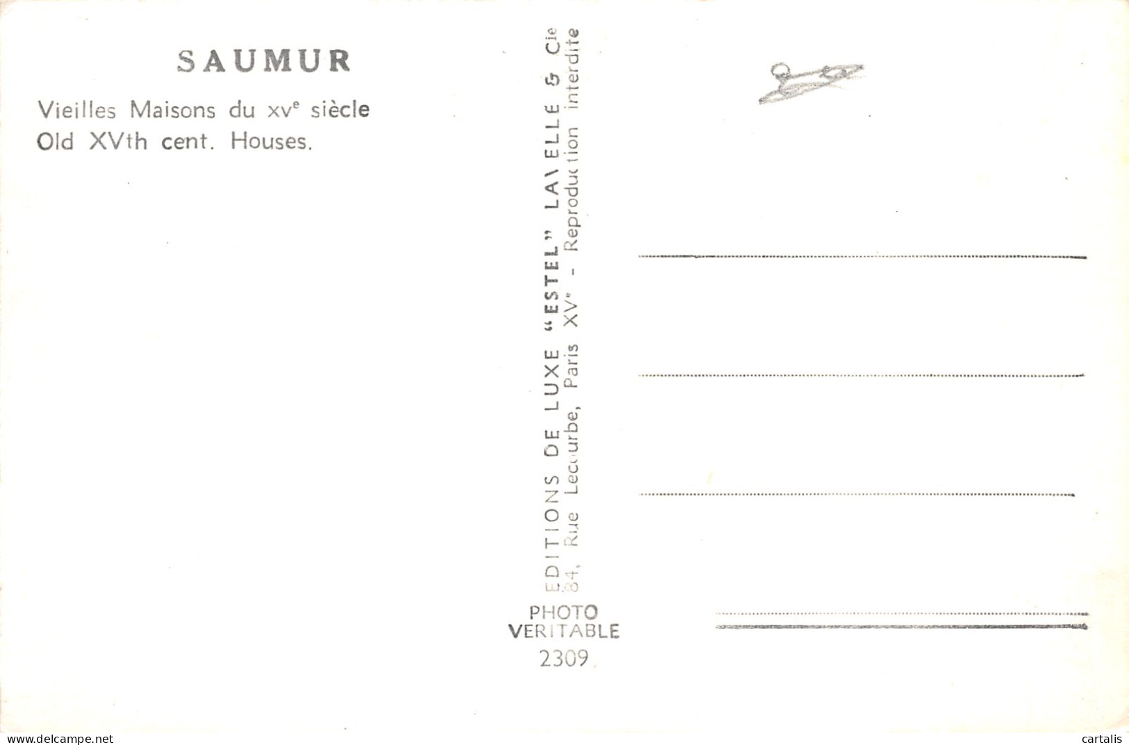 49-SAUMUR-N°4157-E/0313 - Saumur