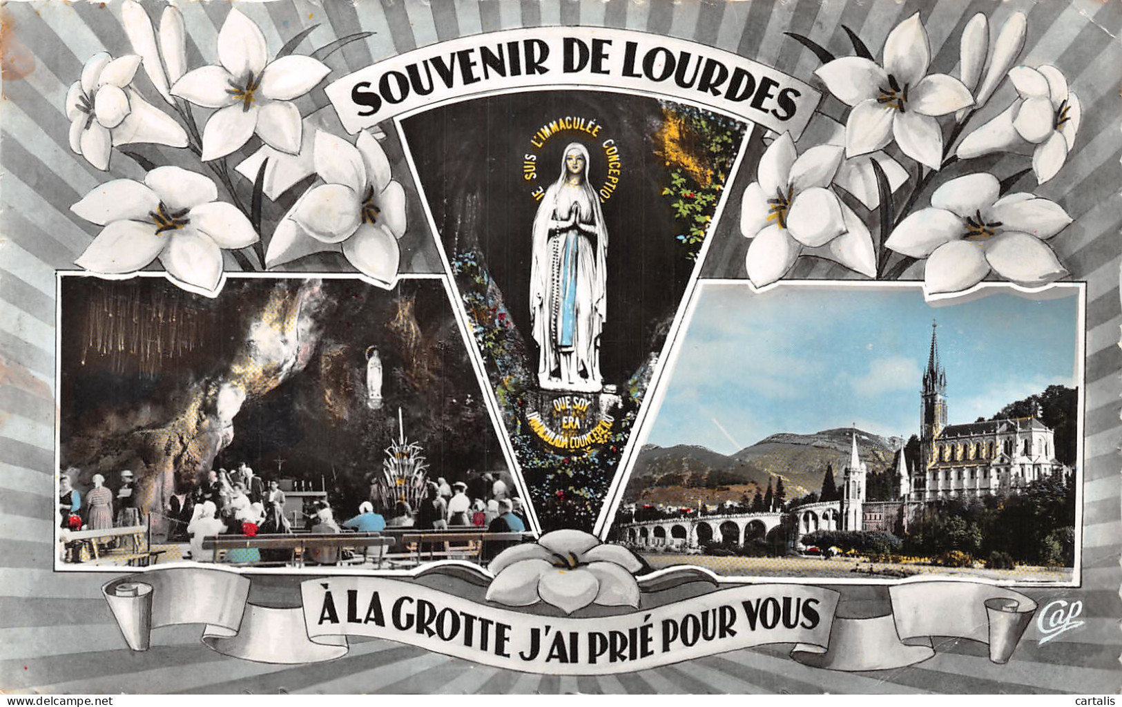 65-LOURDES-N°4158-E/0361 - Lourdes