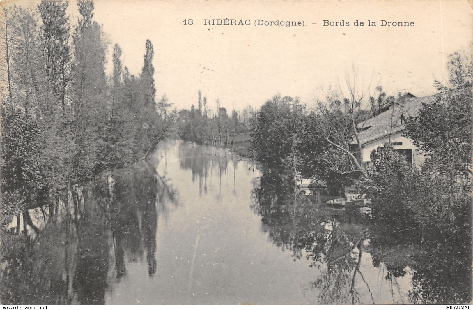 24-RIBERAC-BORDS DE LA DRONNE-N T6020-B/0375 - Riberac