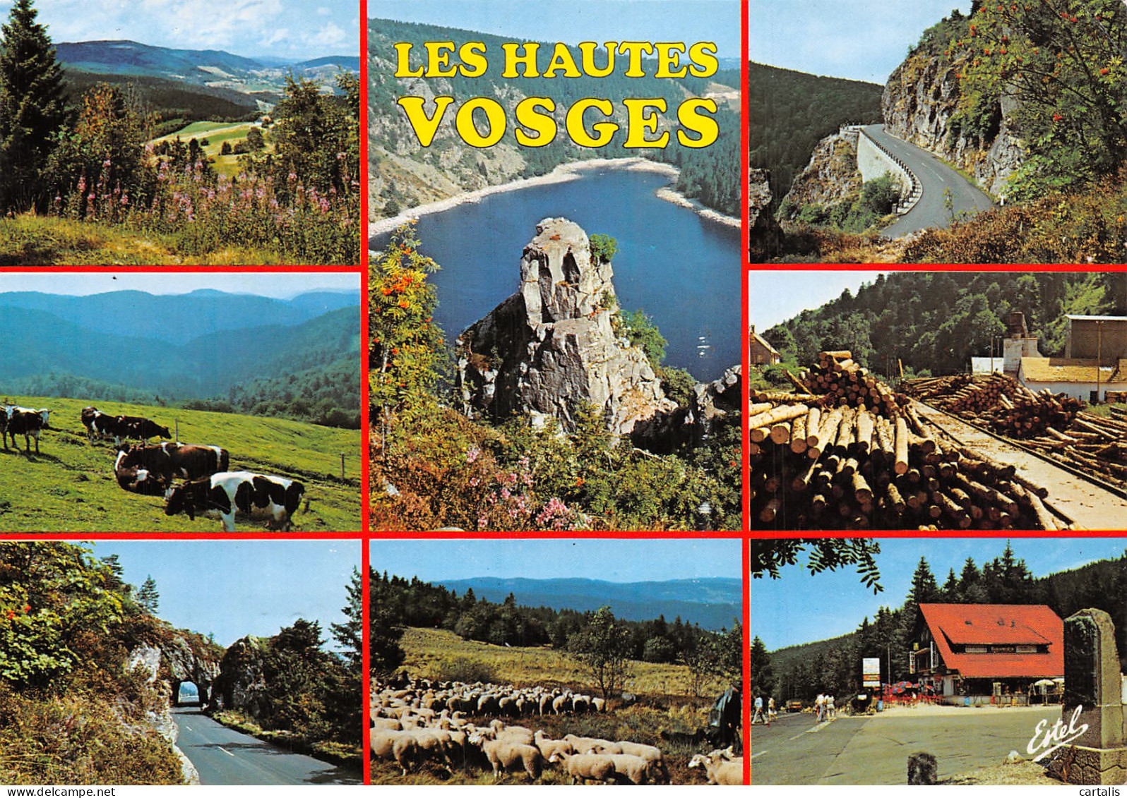 88-LES HAUTES VOSGES-N°4159-B/0243 - Autres & Non Classés