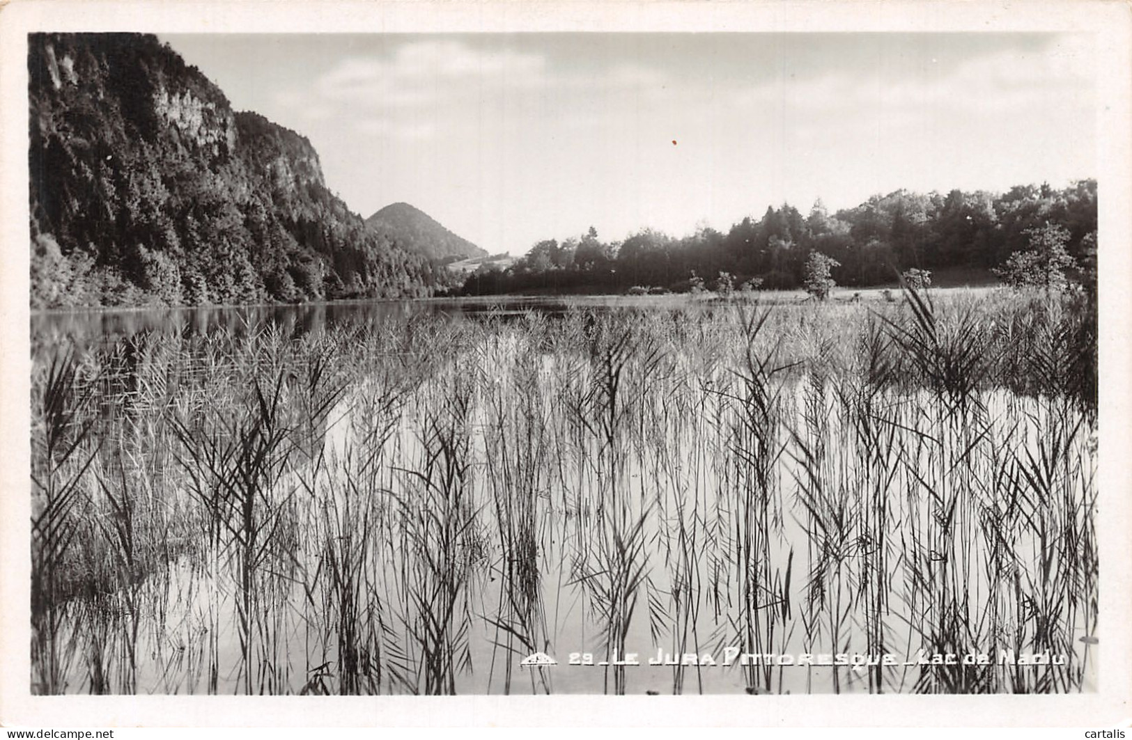 39-JURA LAC DE MACLU-N°4160-E/0353 - Autres & Non Classés