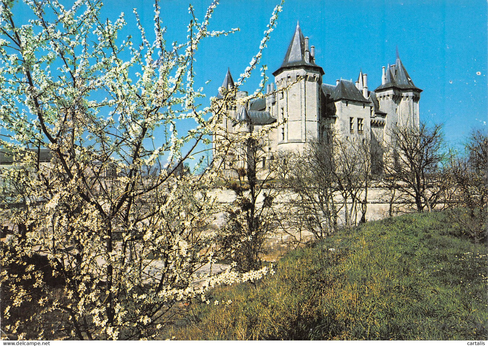 49-SAUMUR LE CHATEAU-N°4162-A/0135 - Saumur