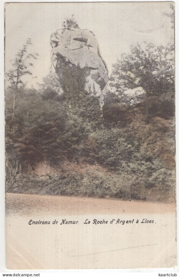 Environs De Namur. La Roche D'Argent à Lives.  - (Belgique/België) - 1905 - Namur