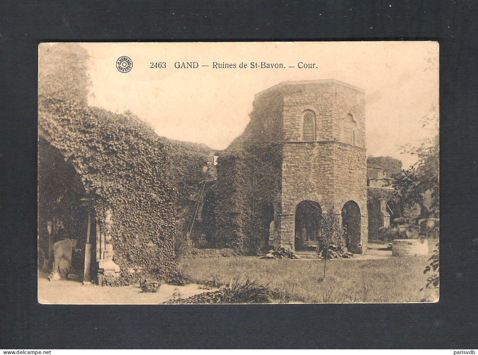 GENT - GAND - RUINES DE ST. BAVON - COUR  (10.858) - Gent