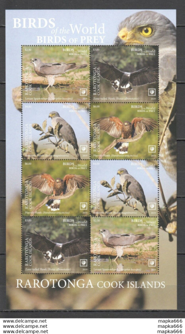 Nw0419 2019 !!! Sale Rarotonga Fauna Birds Of Prey Hawks #100-103 Kb Mnh - Sonstige & Ohne Zuordnung