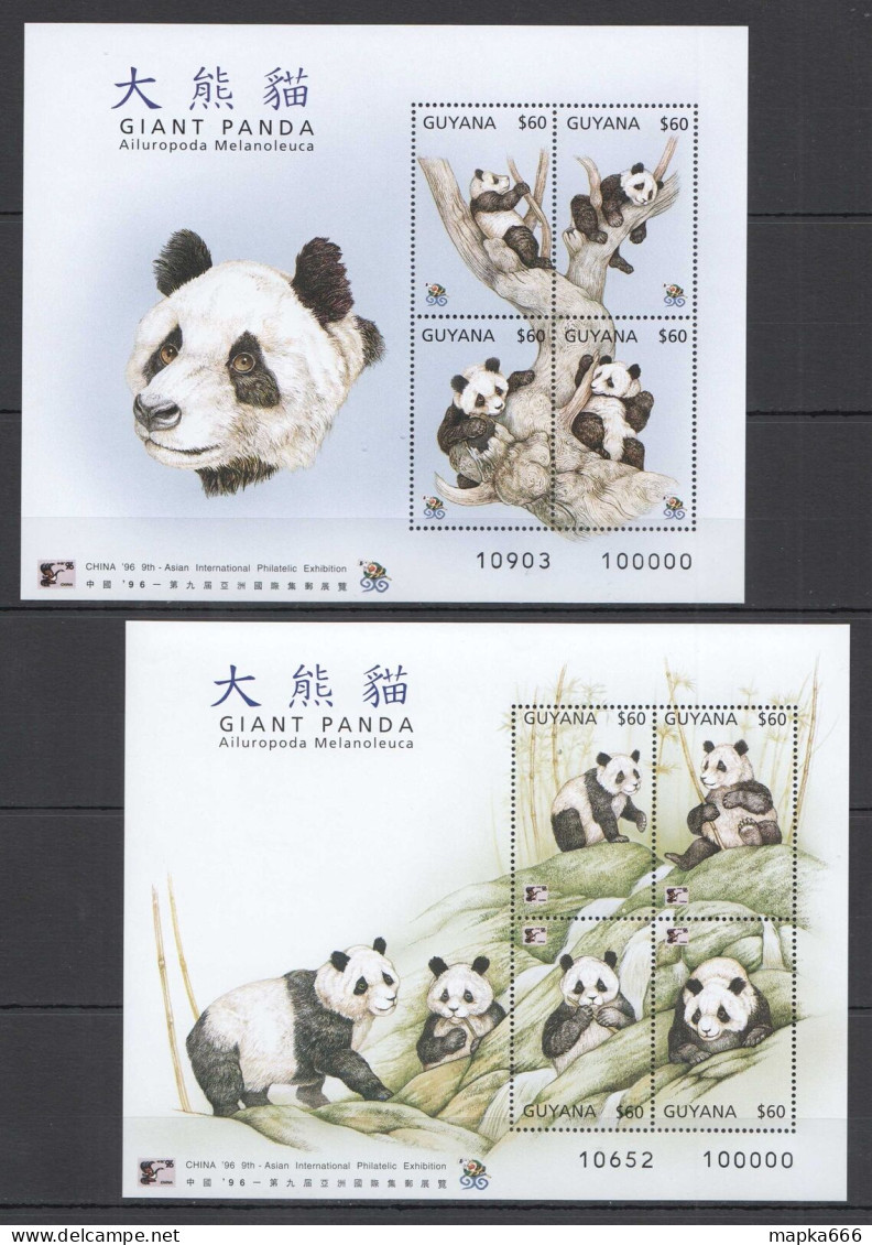 B1183 1996 Guyana Fauna Wild Animals Giant Panda 2Kb Mnh - Sonstige & Ohne Zuordnung