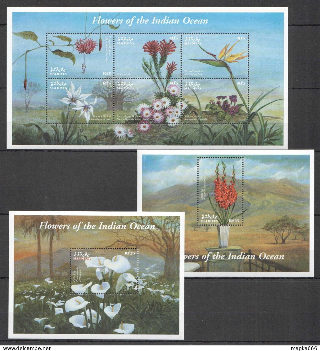 B1203 Maldives Orchids Flowers Of The Indian Ocean Flora Nature !!! 1Kb+2Bl Mnh - Orchideeën