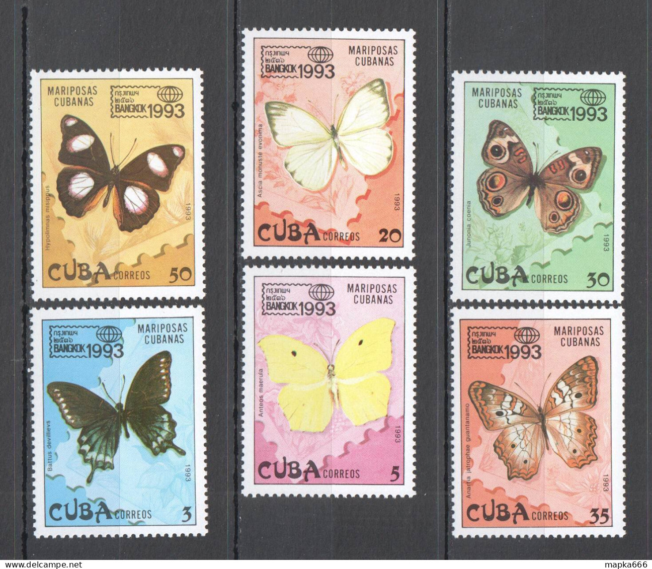 B1156 1993 Butterflies Fauna 1Set Mnh - Schmetterlinge