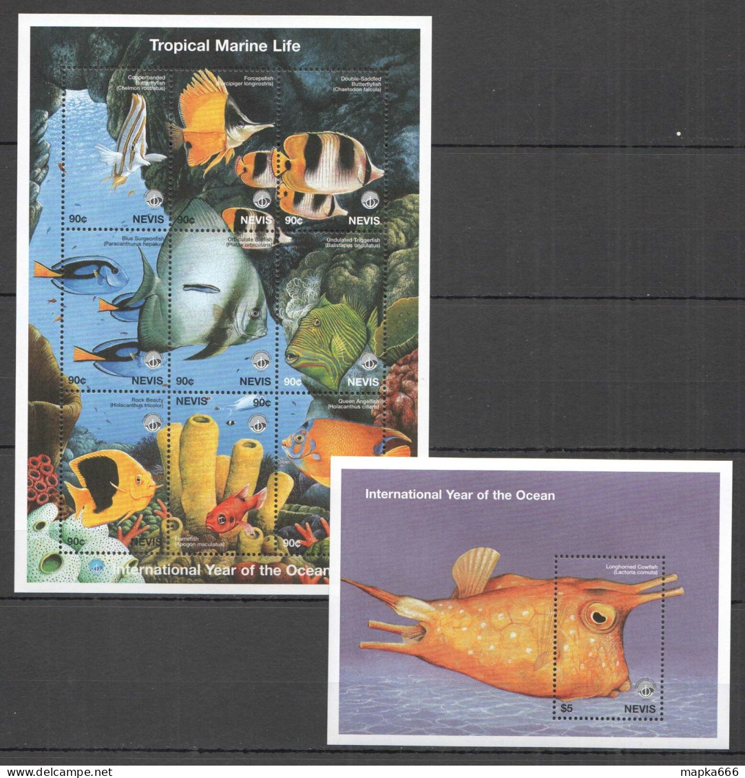 B1235 1998 Nevis Fish & Marine Life Fauna Year Of The Ocean 1Kb+1Bl Mnh - Meereswelt