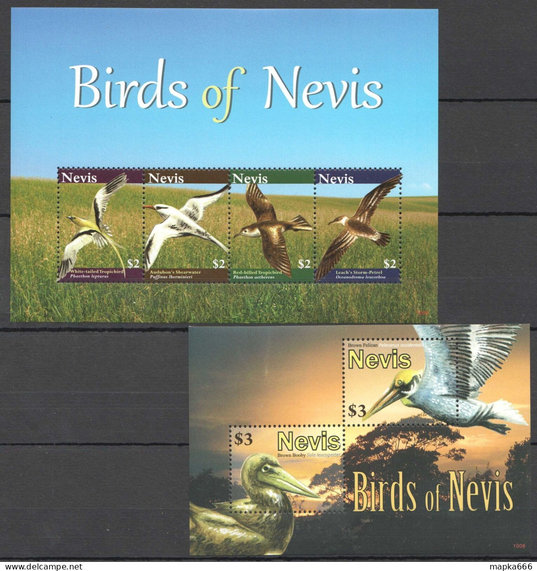 B1244 2010 Nevis Fauna Birds Of Nevis 1Bl+1Kb Mnh - Sonstige & Ohne Zuordnung