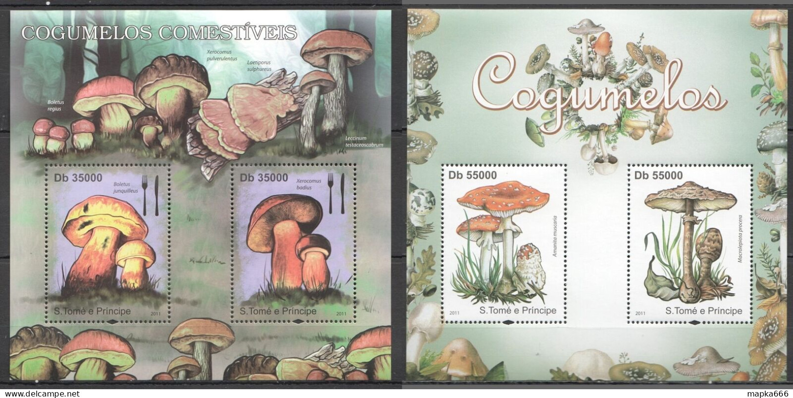 B1135 2011 S.Tome & Principe Flora Mushrooms Cogumelos 2Kb Mnh - Paddestoelen