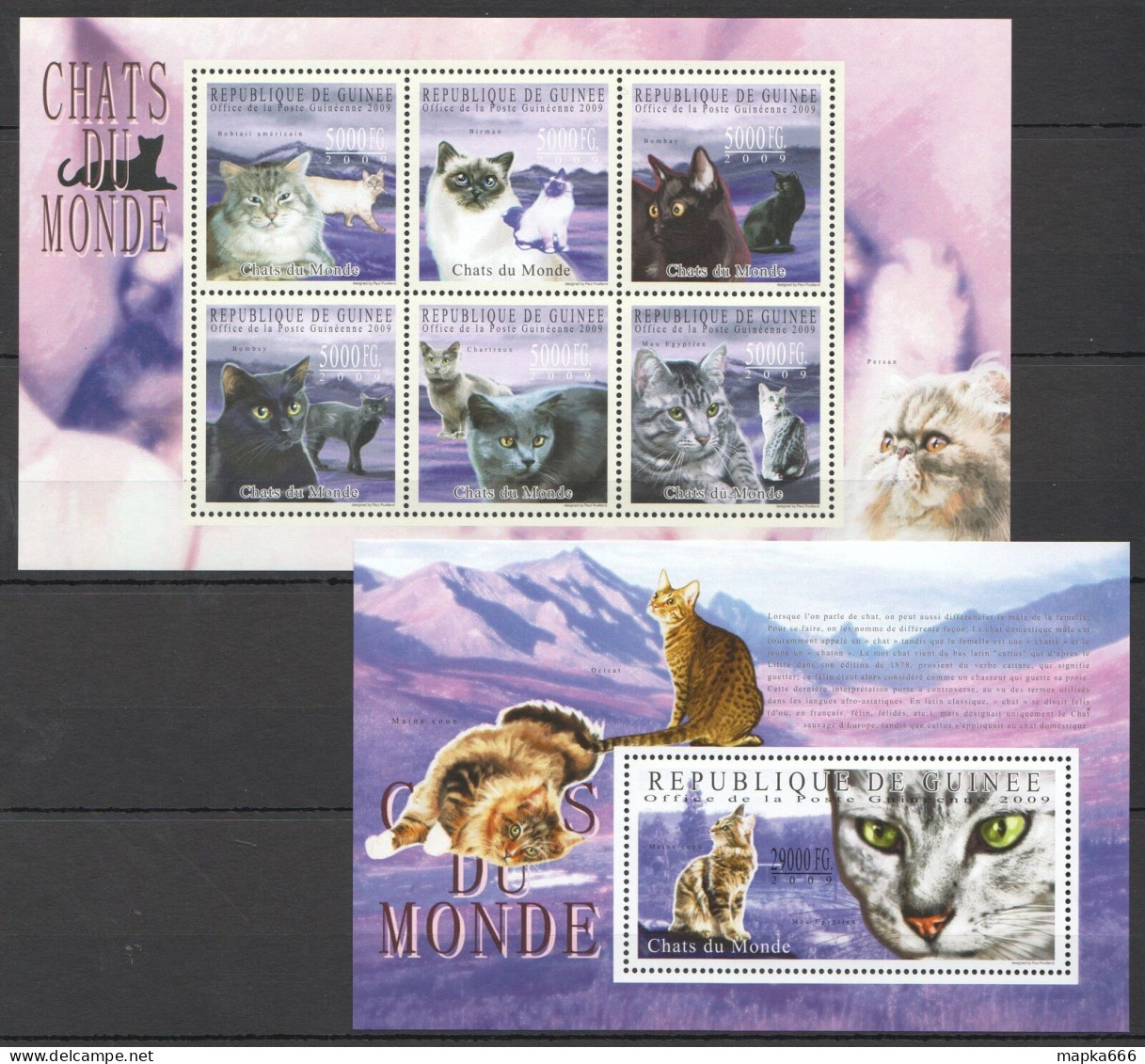 B1246 2009 Guinea Pets Cats Domestic Animals Fauna 1Bl+1Kb Mnh - Domestic Cats