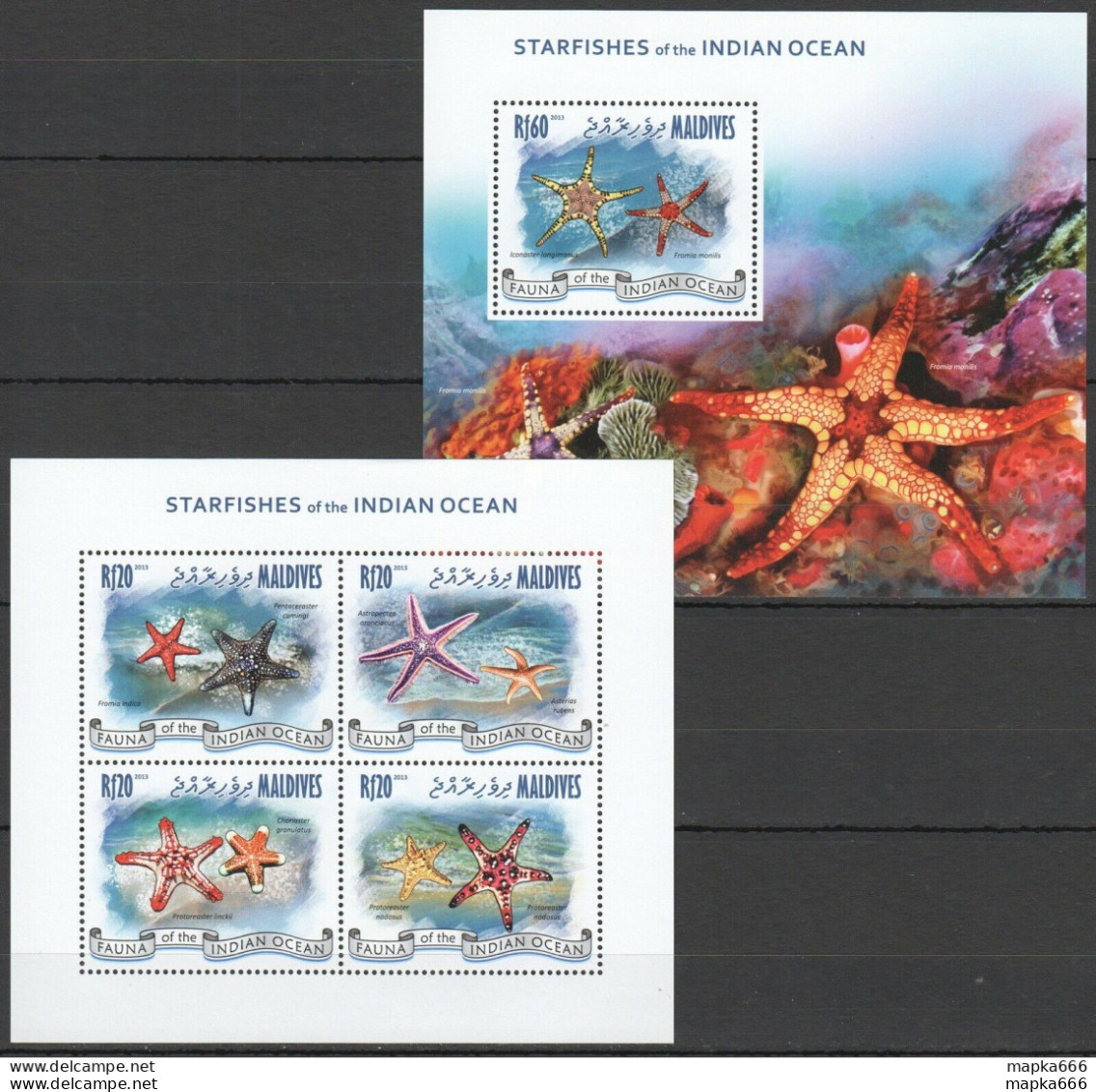 Ml630 2013 Maldives Marine Life Starfishes Of The Indian Ocean Kb+Bl Mnh - Meereswelt