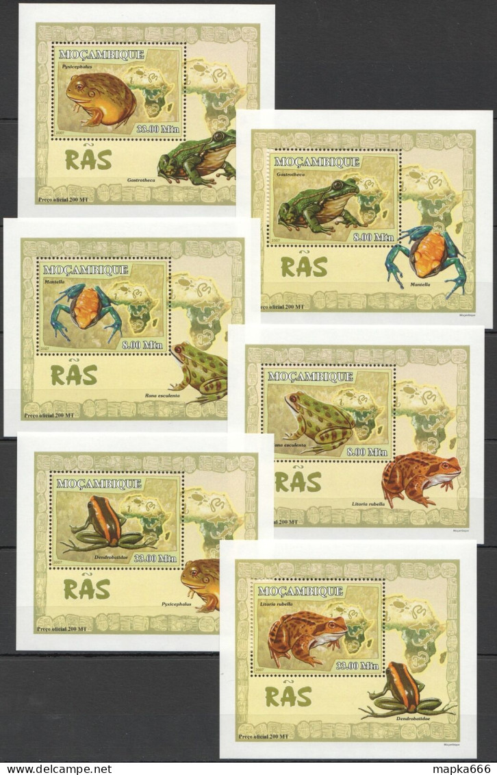 B1393 2007 Mozambique Fauna Reptiles Frogs 6 Lux Bl Mnh - Sonstige & Ohne Zuordnung