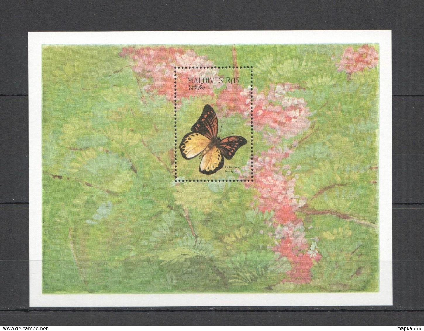 B1198 Maldives Butterflies & Flowers Flora & Fauna 1Bl Mnh - Butterflies
