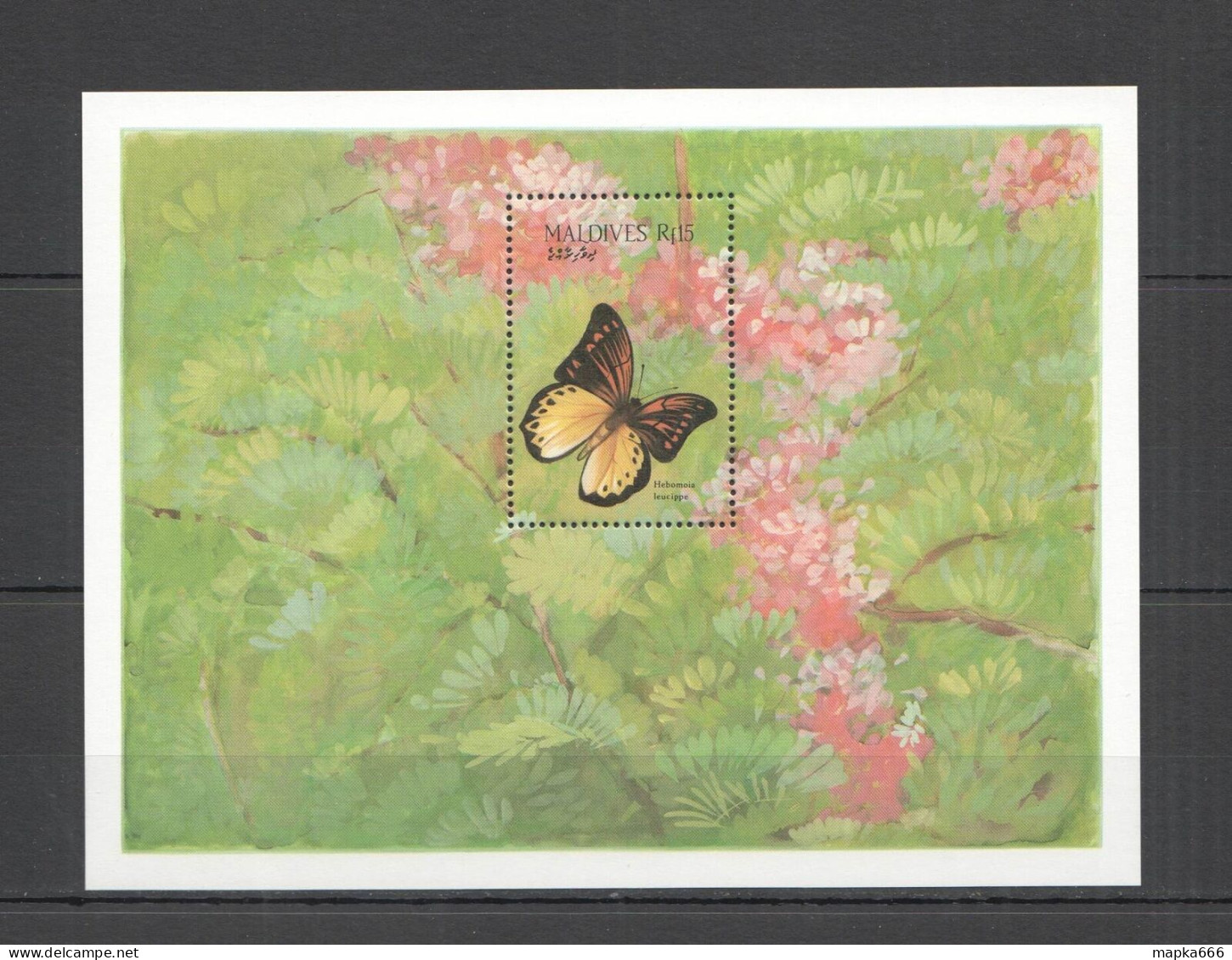 B1198 Maldives Butterflies & Flowers Flora & Fauna 1Bl Mnh - Schmetterlinge