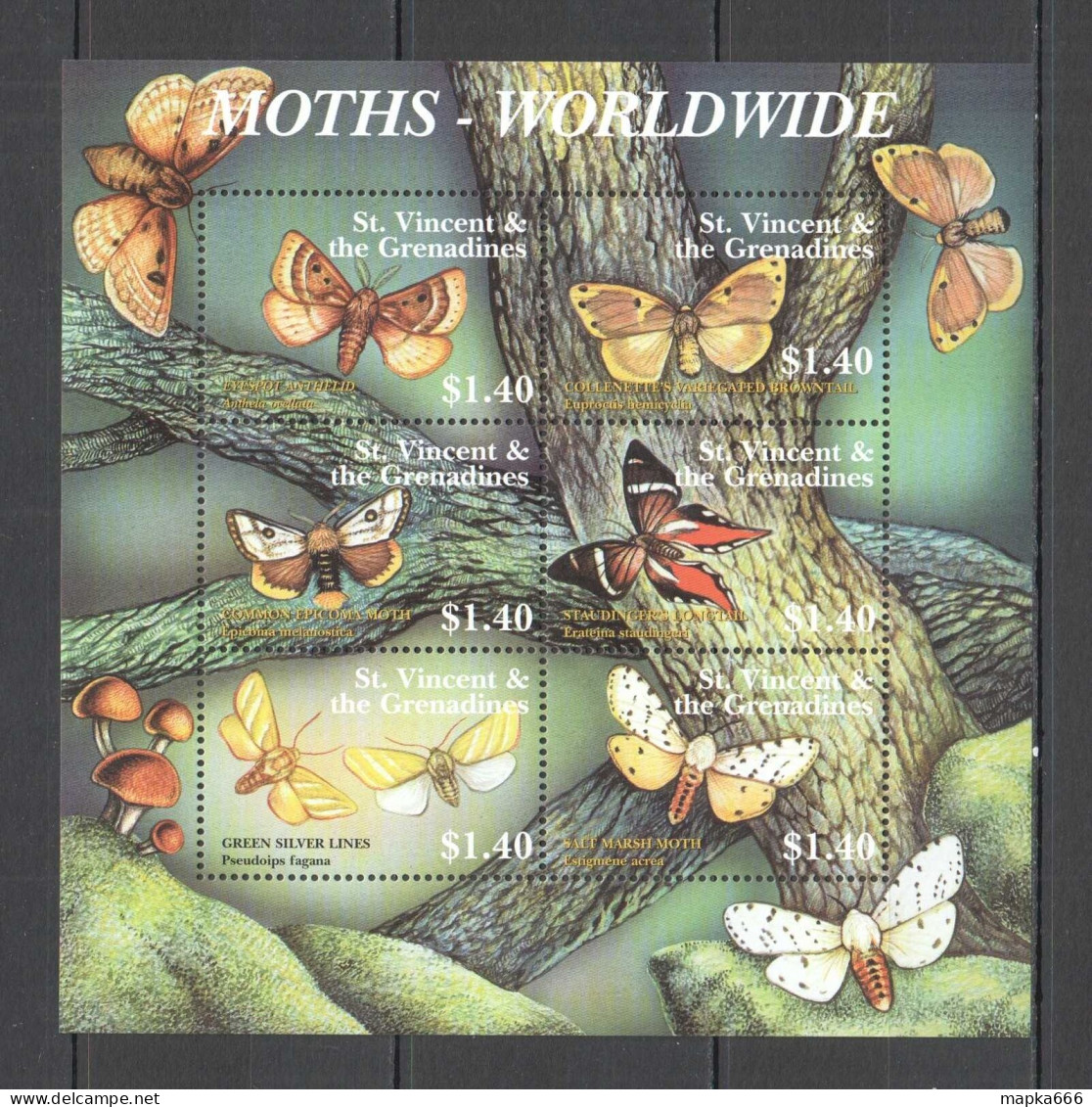 B1245 St. Vincent Butterflies Moths Worldwide Flora & Fauna Kb Mnh - Schmetterlinge