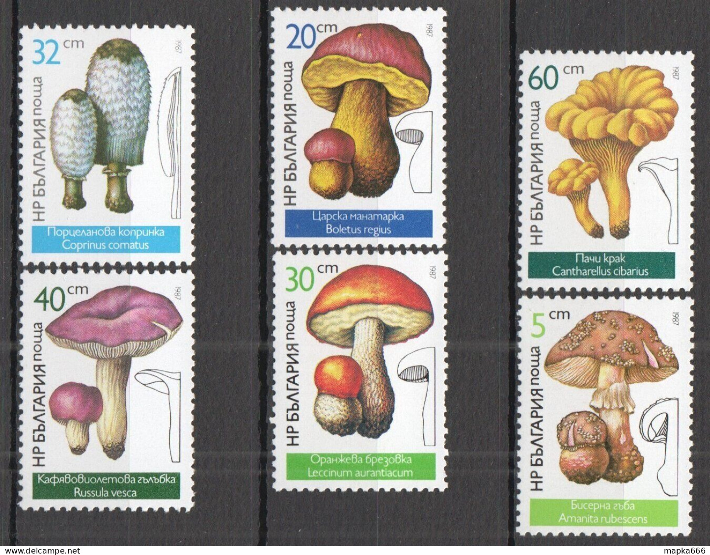 B1132 1987 Bulgaria Flora Nature Mushrooms 1Set Mnh - Paddestoelen