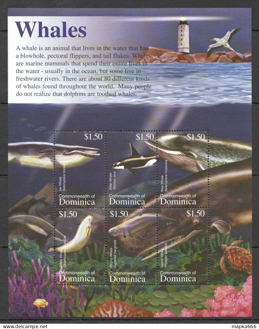 B1262 Dominica Fauna Marine Life Whales 1Kb Mnh - Meereswelt
