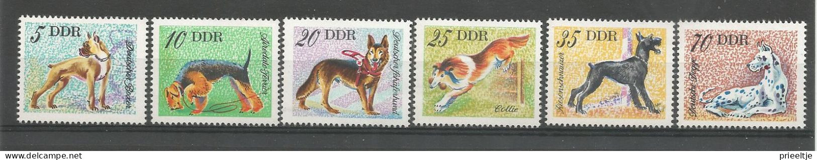DDR 1976 Dogs Y.T. 1831/1836 ** - Unused Stamps